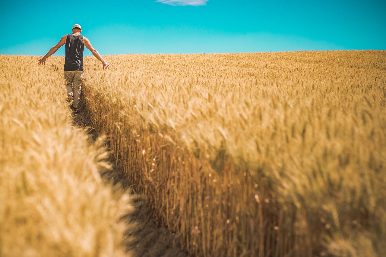 Webinar Agro do Futuro abordará Carreiras de Vendas no Agronegócio: Estratégias e Caminhos