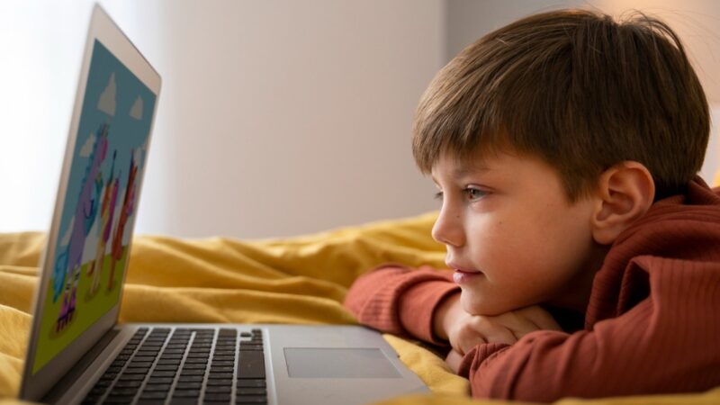 Aferição de idade online será implementada em fases