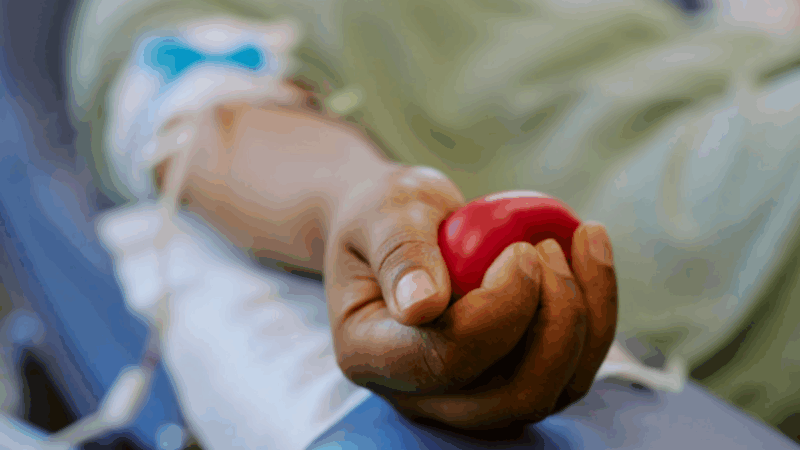 Doar sangue exige cuidados e critérios específicos