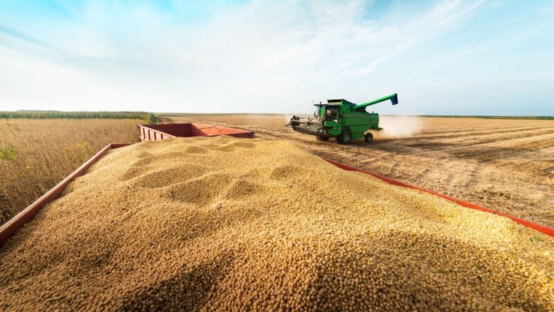 Grupo do agro aprova recuperação judicial com deságio de 85%