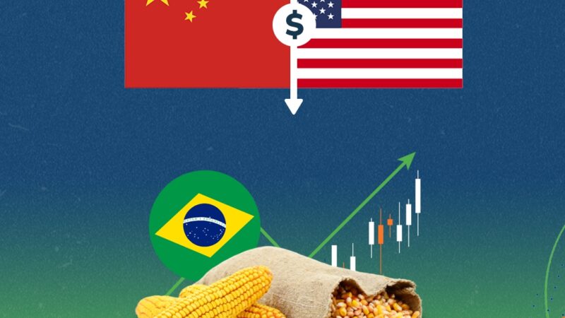 Quais os impactos que o novo comando nos EUA pode gerar ao agronegócio brasileiro?