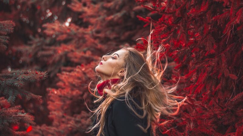 Boho e flores são tendência de decoração para o outono