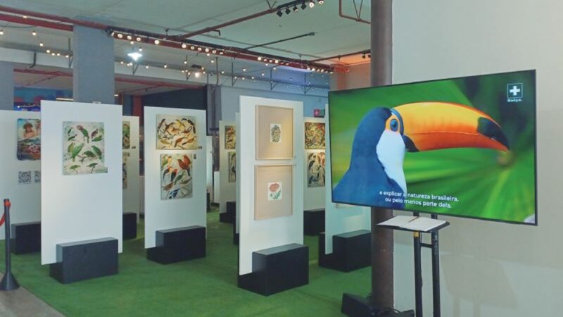 Exposição O Legado Suíço Brasileiro na Amazônia está em Nova Friburgo–RJ