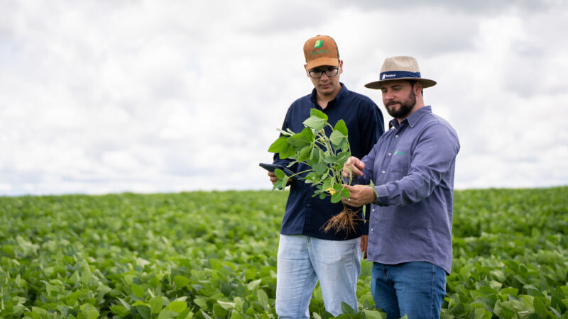 Bom Jesus publica segundo Relatório de Sustentabilidade