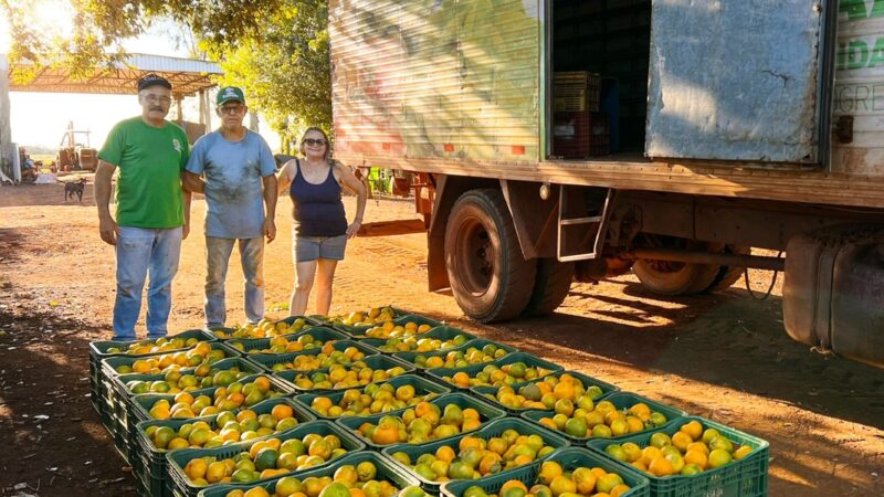 Sidrolândia lidera CeasaMS com a força do pequeno agricultor