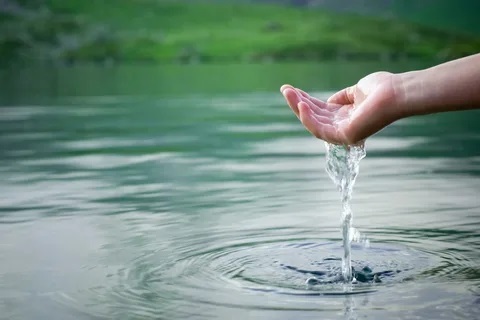 Consumidores se preocupam com os ecossistemas de água doce saudável