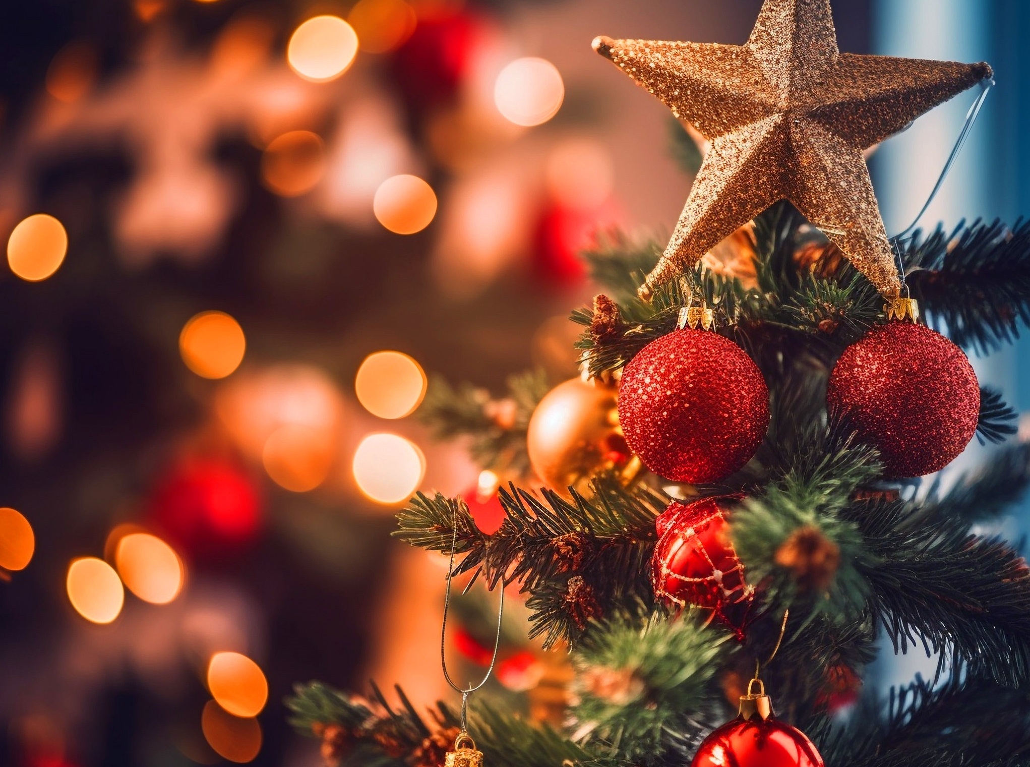 Sidra e enfeites de Natal lideram a lista dos itens natalinos mais tributados