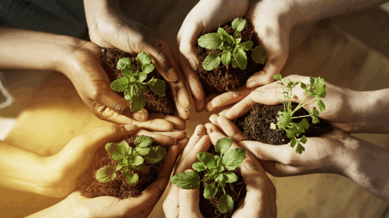 Educação Ambiental visa desenvolver a compreensão integrada do meio ambiente