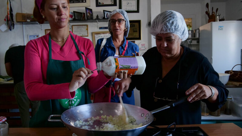 Instituto Aupaba inicia projeto inédito que cria roteiro de turismo regenerativo
