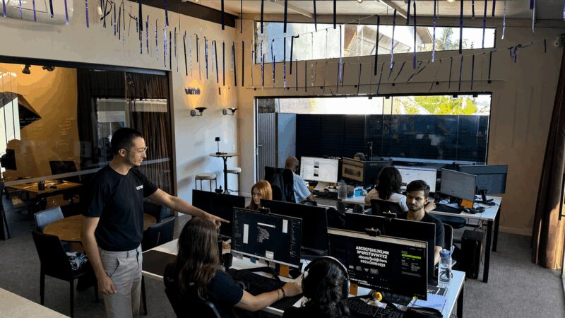 Vime Digital cria sites que atuam como plataformas internas