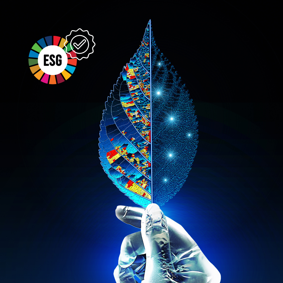 Elevar energia alcança reconhecimento internacional em ESG