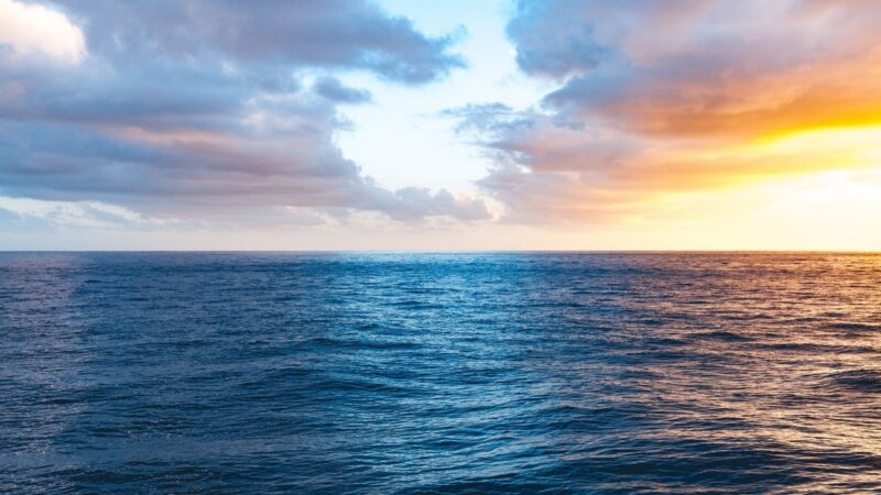Dia dos Oceanos será comemorado em 8 de junho