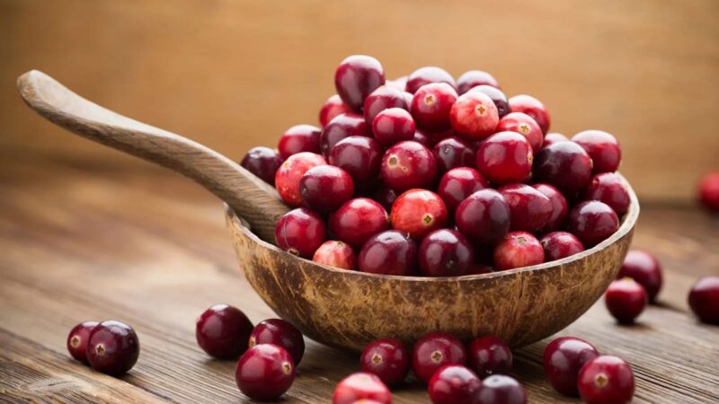 Novas evidências científicas sobre o uso de cranberries