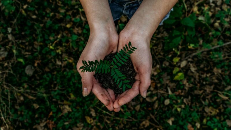 Jornada de Inovação Bancorbrás Social premia iniciativas de turismo sustentável