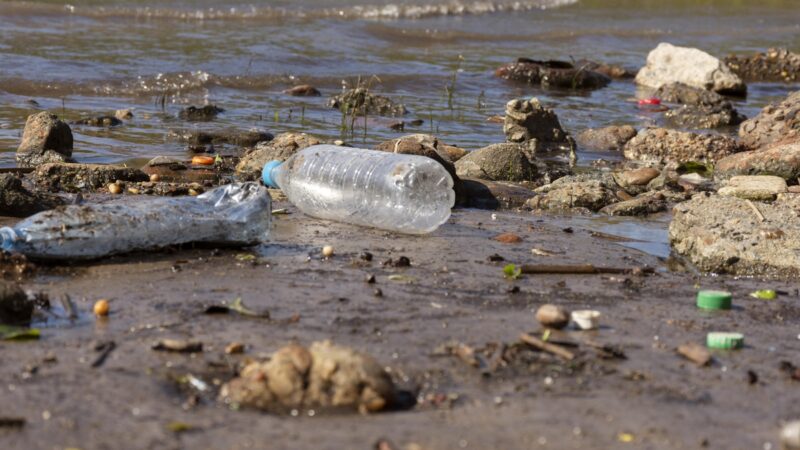 Humanidade gera mais de 400 milhões de toneladas de plástico