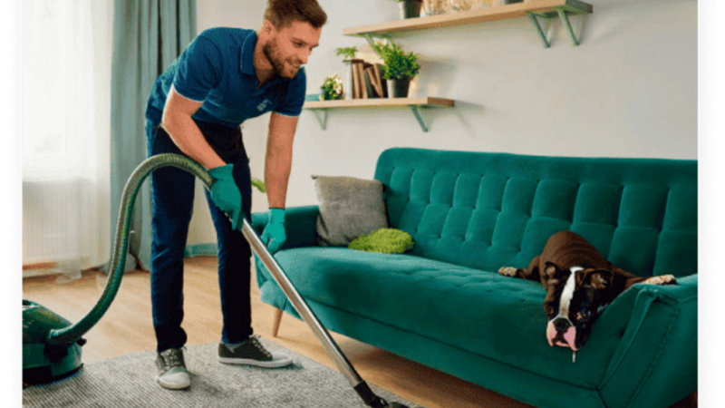 Lares com pets precisam de cuidados especiais na limpeza