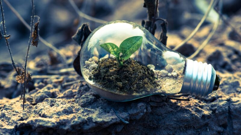 Sustentabilidade guia escolhas de 67% dos brasileiros
