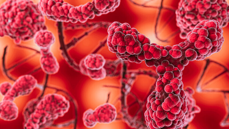 ANS avalia inclusão de tratamento para mielofibrose no rol