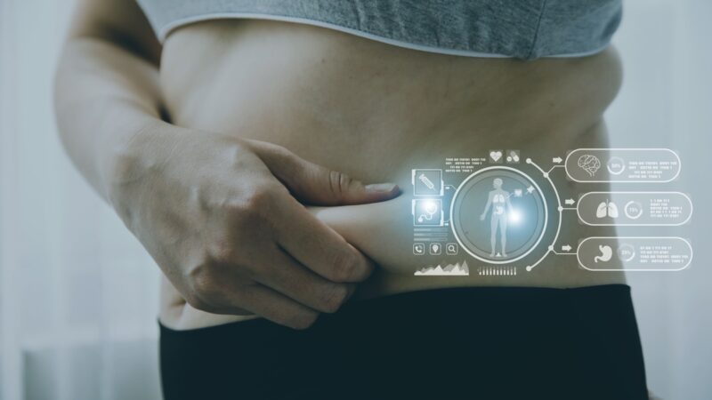 Distúrbio metabólico e obesidade afetam saúde geral do corpo