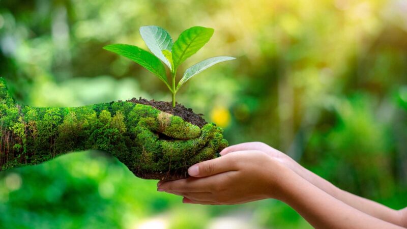 Turismo regenerativo incentiva a conservação ambiental