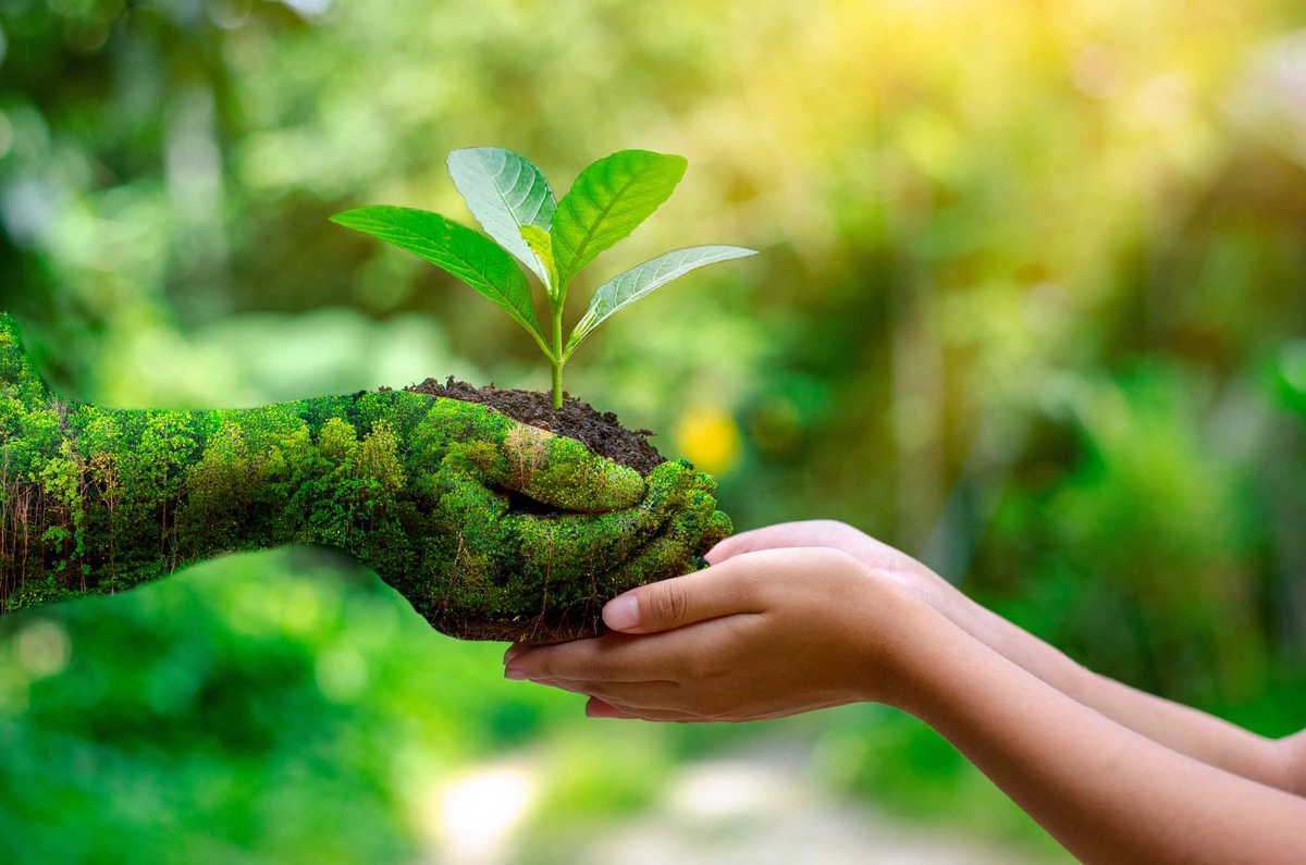 Turismo regenerativo incentiva a conservação ambiental