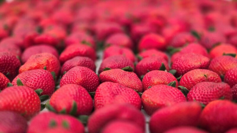 Sebrae participa da Festa de Flores e Morangos de Atibaia