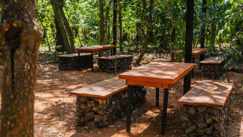Uberlândia ganha primeiro parque dentro de floresta preservada
