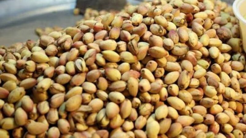 Pistaches oferecem benefícios para a saúde