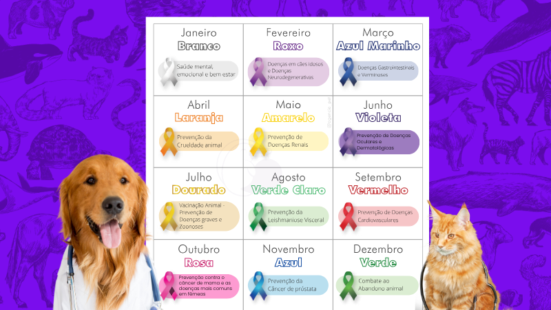 Mercado veterinário e pet adotam um calendário oficial