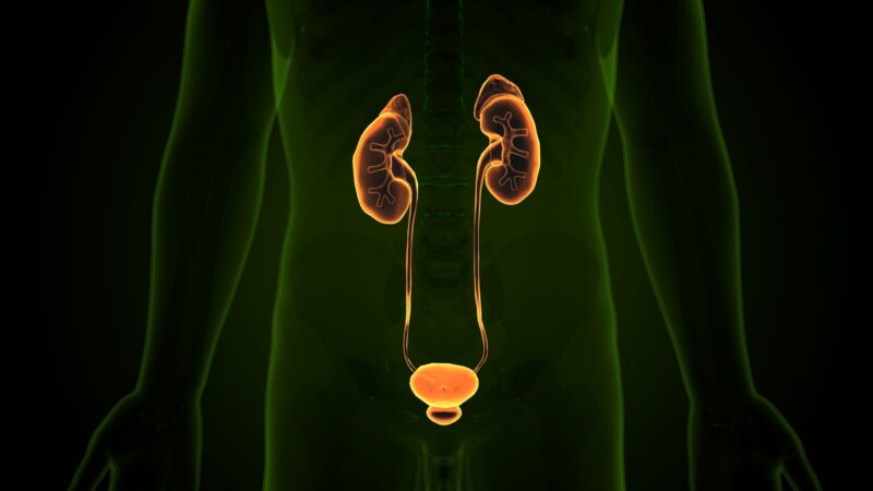 Tecnologia transforma tratamentos na urologia moderna