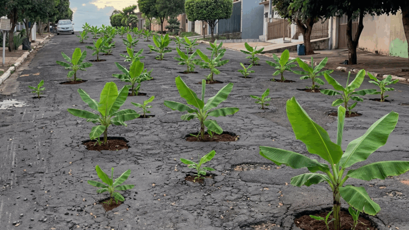 Os pés de banana foram obra da inteligência artificial; já os buracos são reais, resultado da falta de obras do governo Ratinho Junior e da prefeita Geny Violatto