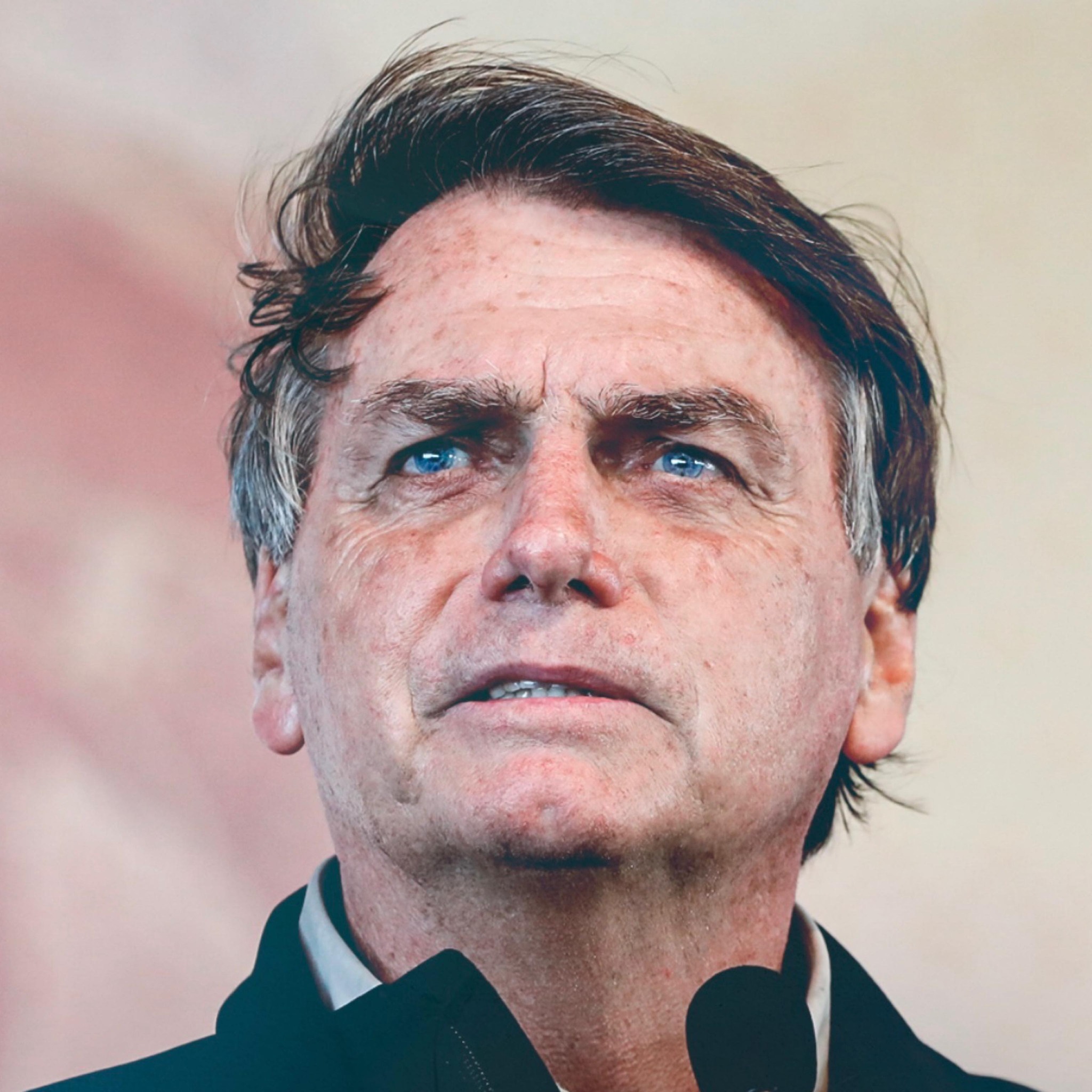 Ao solicitar anistia, Bolsonaro assume papel de réu confesso?