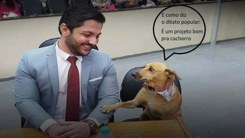 Projeto de Flávio Mantovani busca organizar entregas e reforçar a segurança para todos