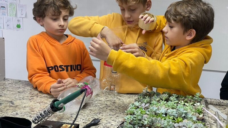Sete projetos criados por estudantes que estão transformando a sustentabilidade nas escolas