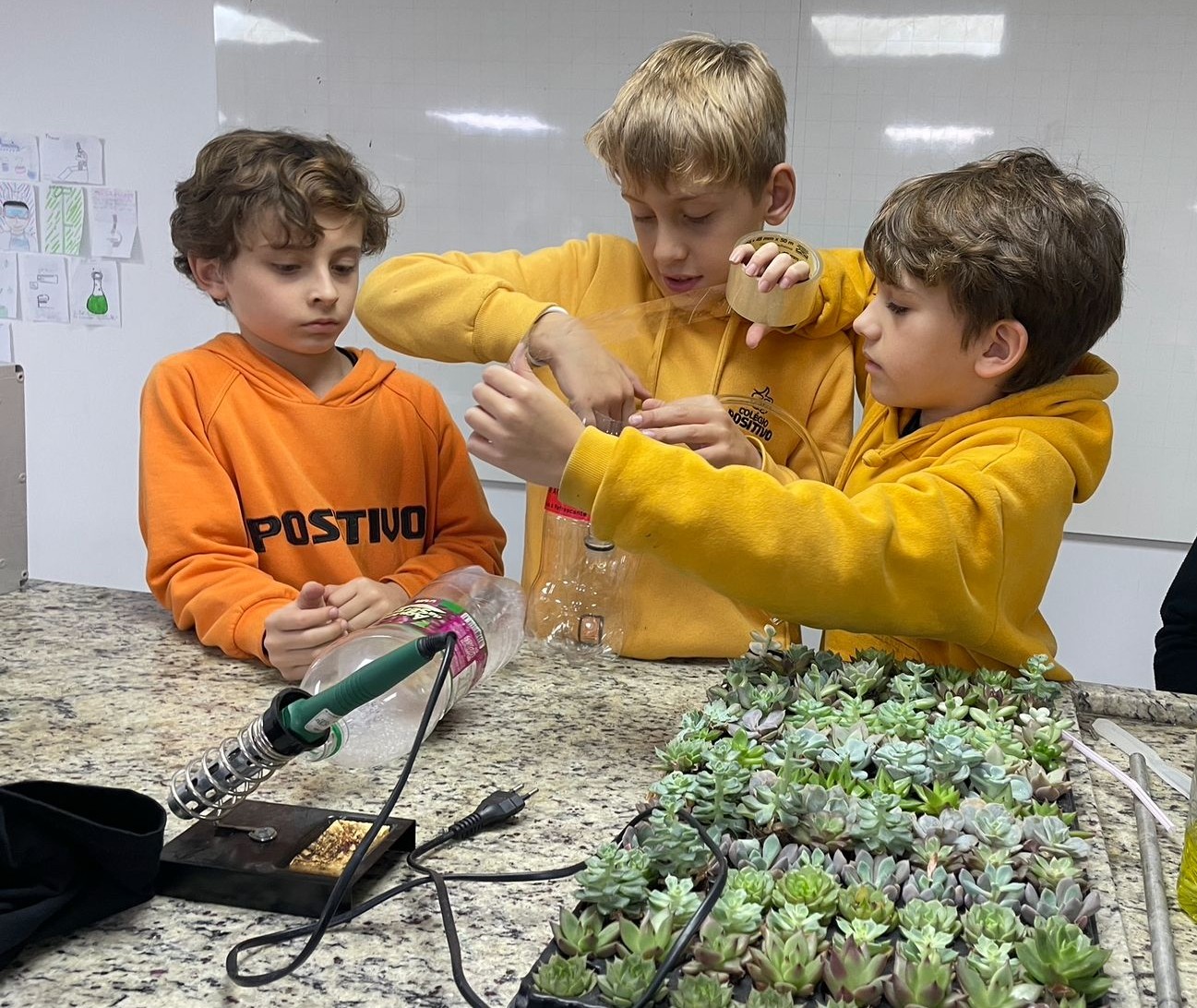 Sete projetos criados por estudantes que estão transformando a sustentabilidade nas escolas