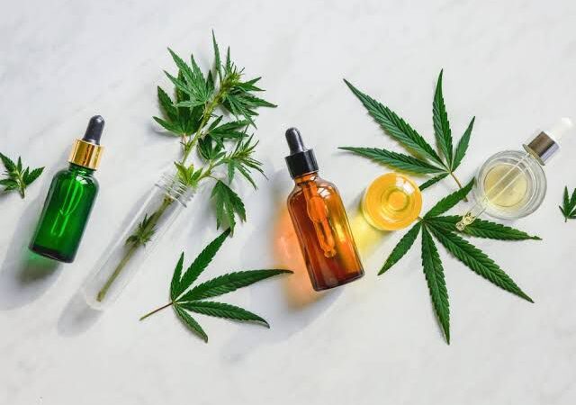 UEM Sediará Fórum Paranaense de Cannabis para Debater Avanços na Legislação e Acesso a Tratamentos