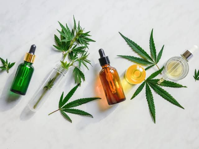 UEM Sediará Fórum Paranaense de Cannabis para Debater Avanços na Legislação e Acesso a Tratamentos