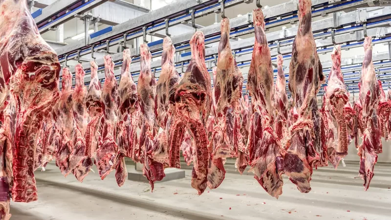 Brasil lidera exportações de carne bovina em setembro com alta de 25% sobre agosto