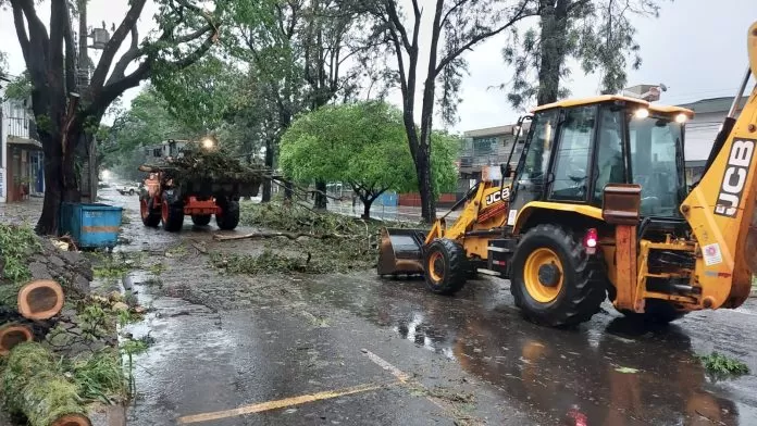 Chuva quase 50% acima da média histórica dificulta limpeza de Maringá após vendaval
