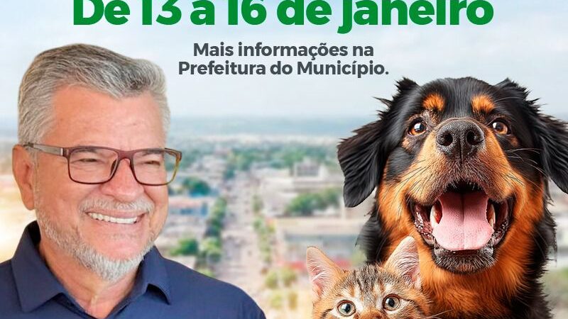 Cerca de 600 cães e gatos serão castrados em Sarandi por meio do CastraPet viabilizado por Delegado Jacovós