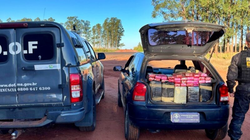 Quase 400 kg de maconha avaliados em R$ 680 mil são interceptados a caminho de Maringá