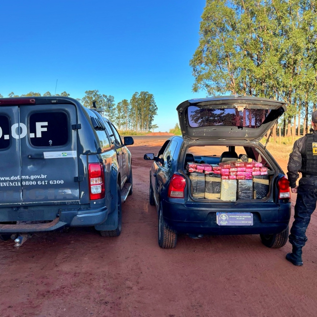 Quase 400 kg de maconha avaliados em R$ 680 mil são interceptados a caminho de Maringá
