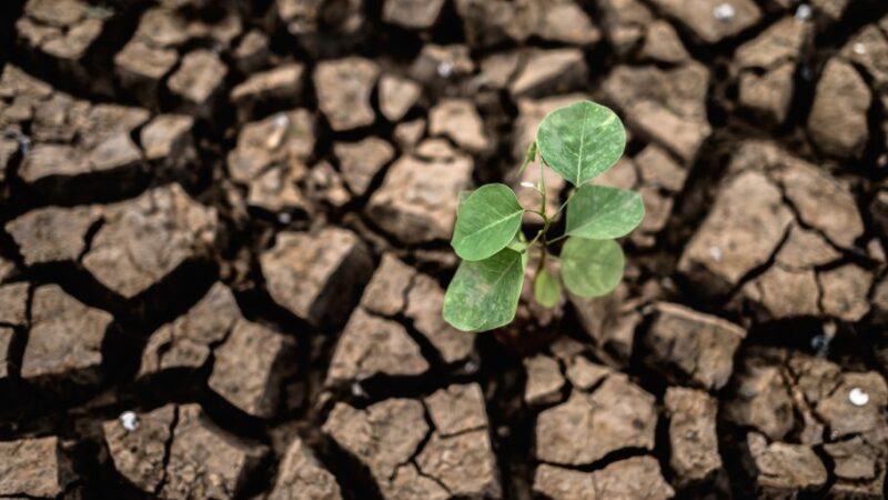 El Niño reforça a importância da eficiência energética para a competitividade industrial