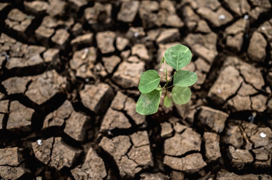 El Niño reforça a importância da eficiência energética para a competitividade industrial