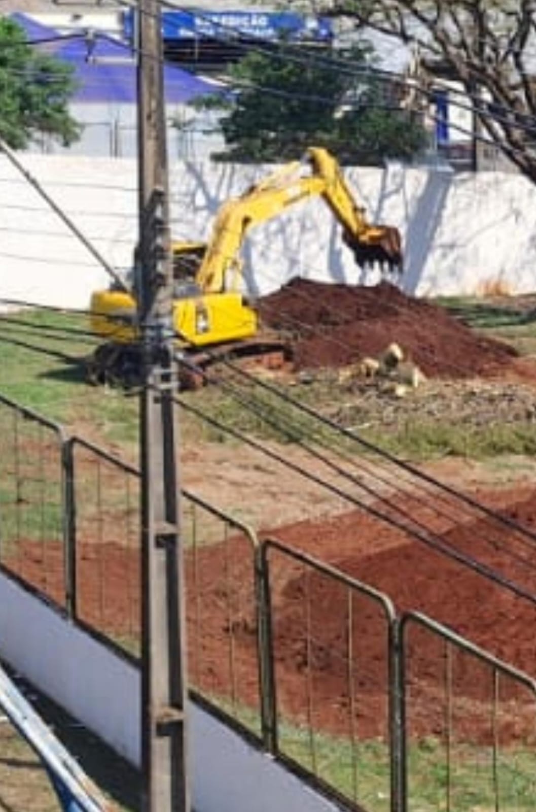Remoção de árvores no Parque de Exposições leva IAM investigar a SRM