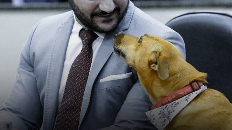 Flávio Mantovani inicia série inédita de aulas e consolida liderança no Paraná na causa animal