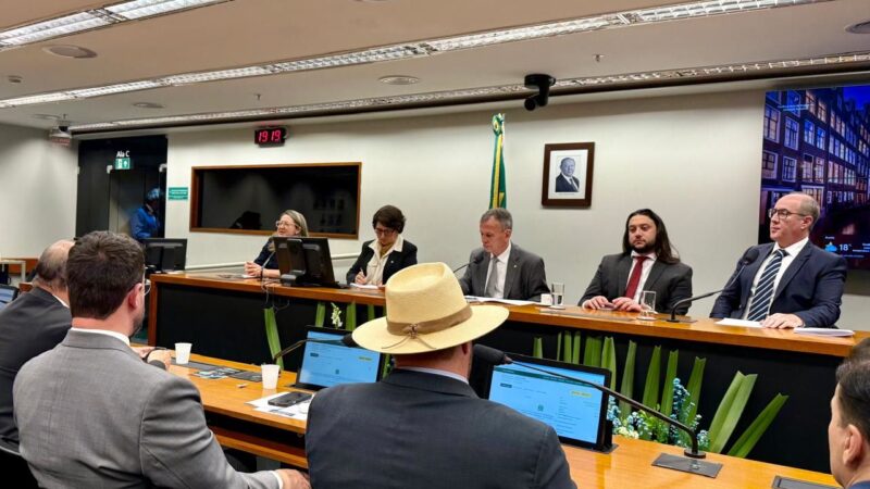 Organização social do Paraná apresenta projetos para a bancada paranaense na Câmara Federal, em Brasília