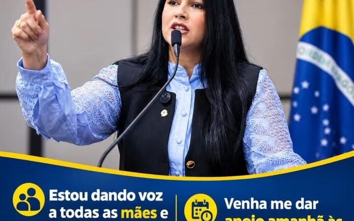 Onde estão as provas das acusações feitas por Giselli contra os CMEIs?