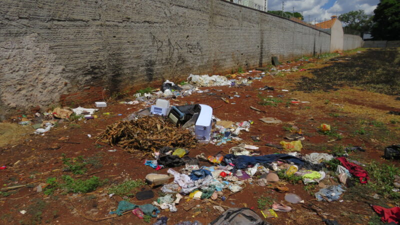 Quando o Lucro Prevalece: Terrenos sem manutenção ameaçam vidas