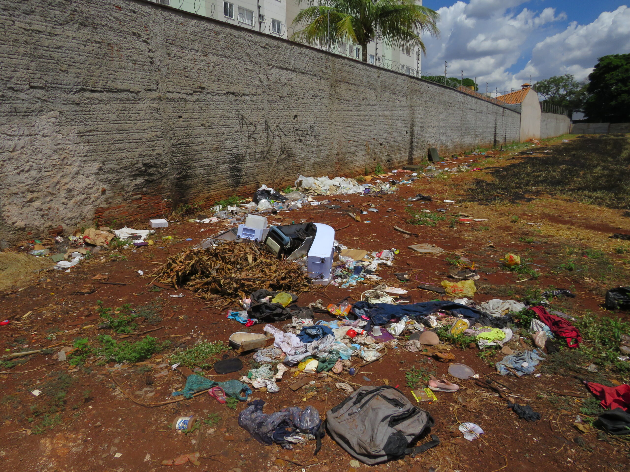 Quando o Lucro Prevalece: Terrenos sem manutenção ameaçam vidas